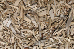 biomass boilers Storridge
